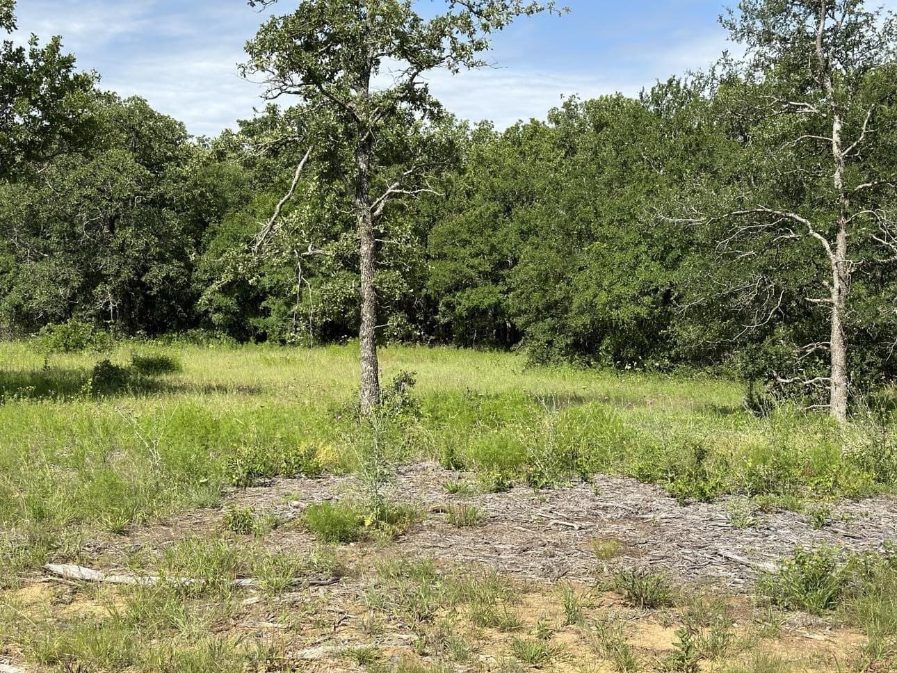 5.24 acres in Palo Pinto County gallery image 3