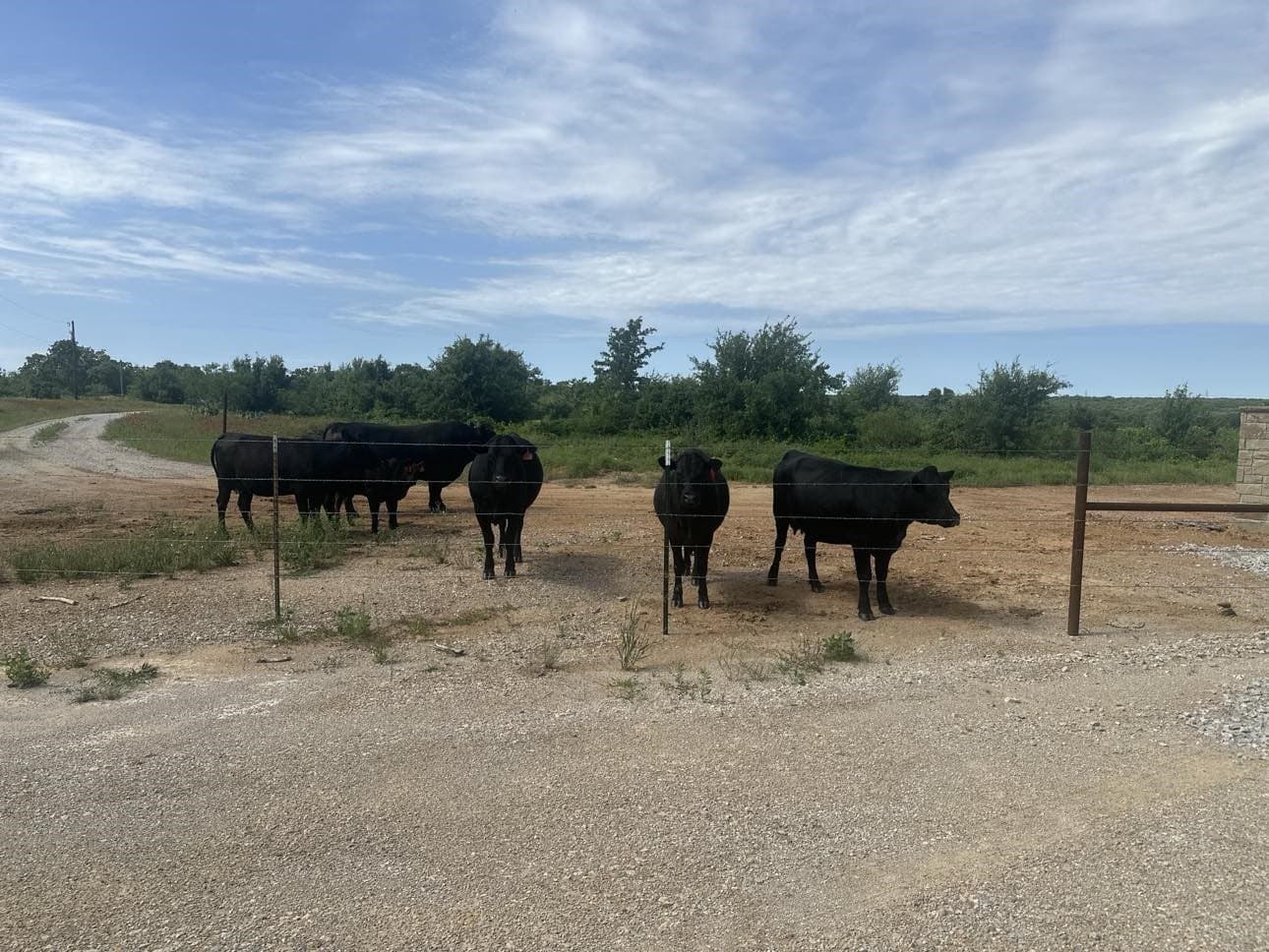 5.24 acres in Palo Pinto County - photo 11