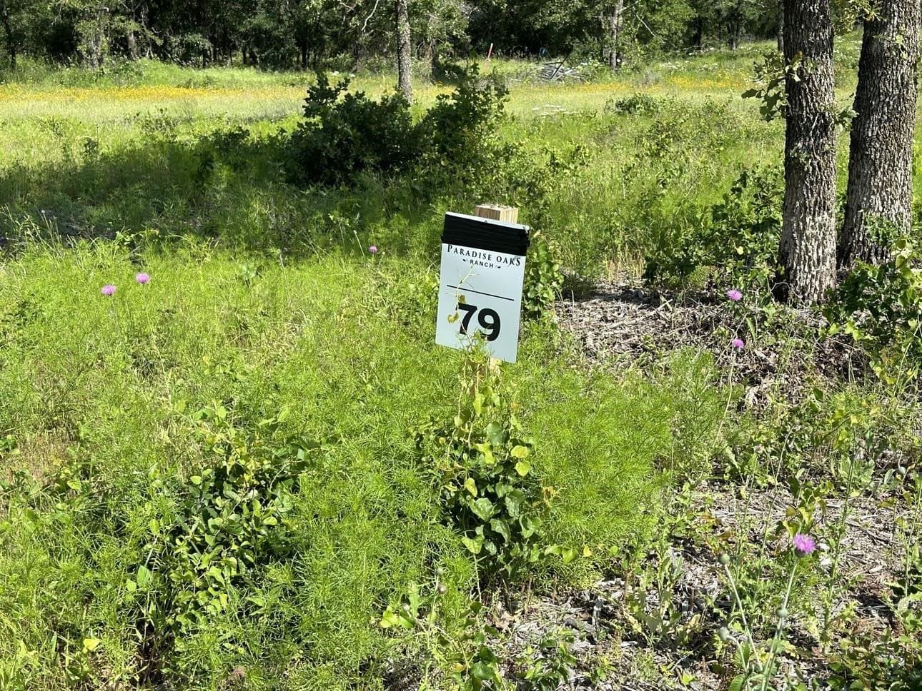 5.24 acres in Palo Pinto County gallery image 4