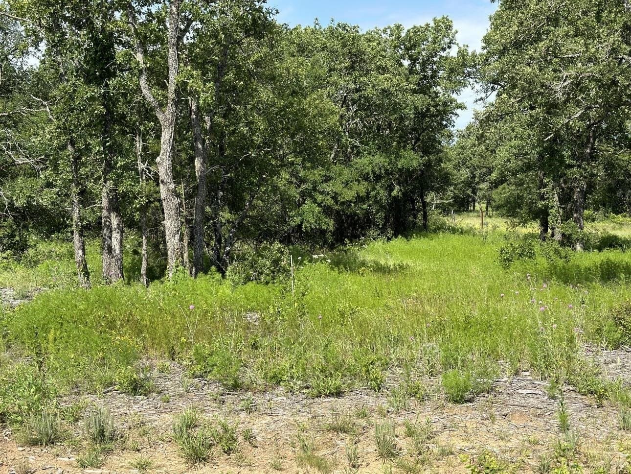 5.24 acres in Palo Pinto County gallery image 2
