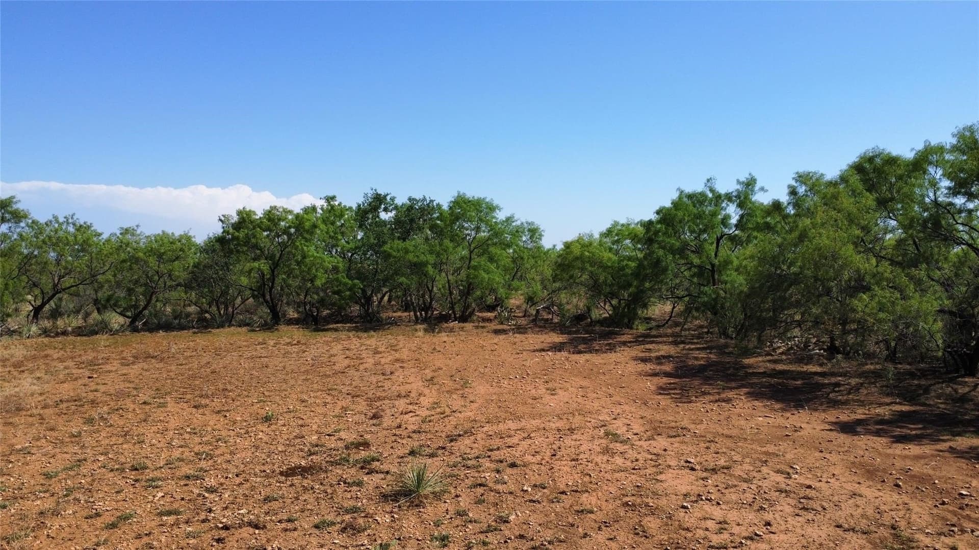 218 acres in Coleman County - photo 35