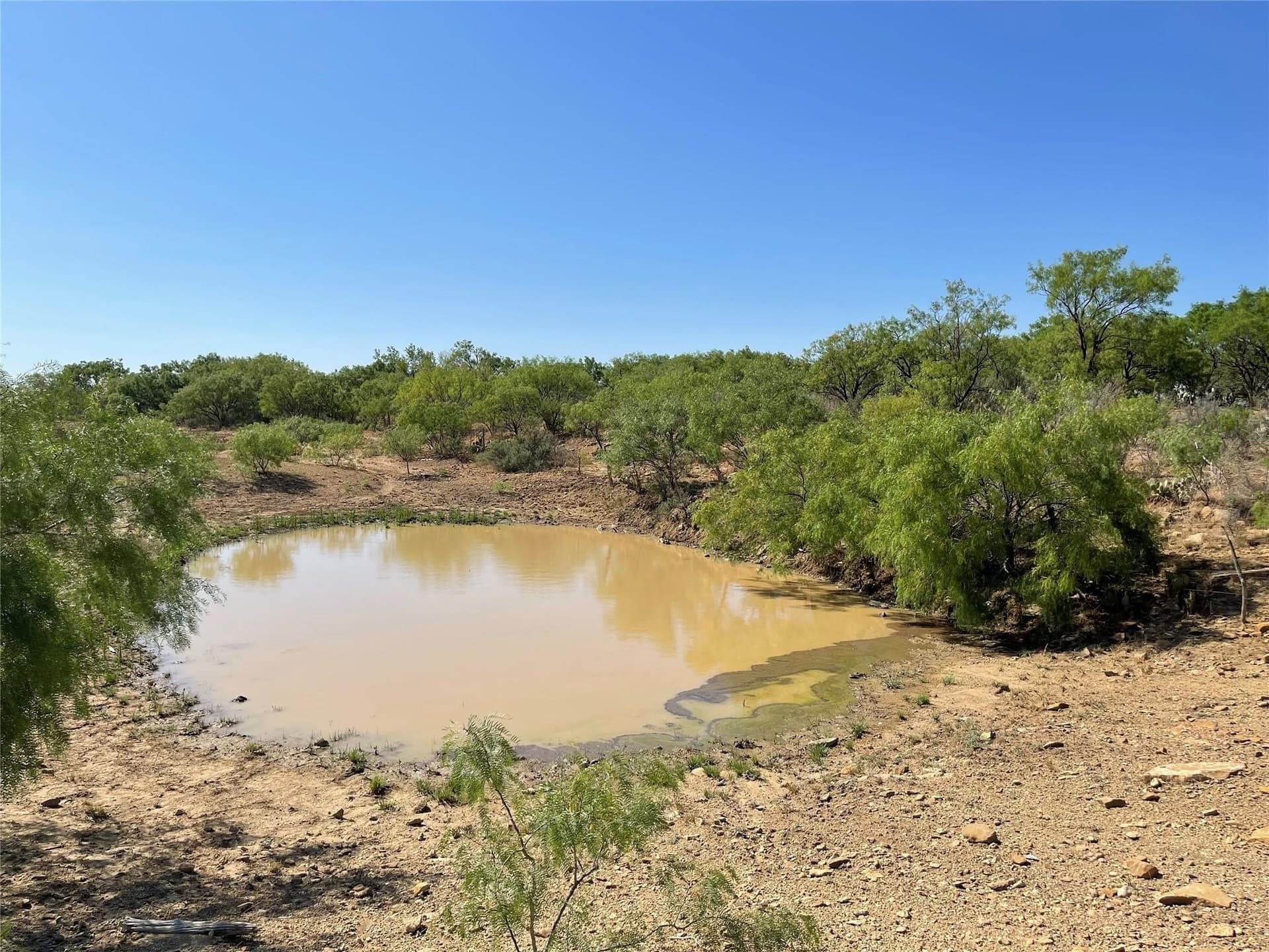 218 acres in Coleman County - photo 17