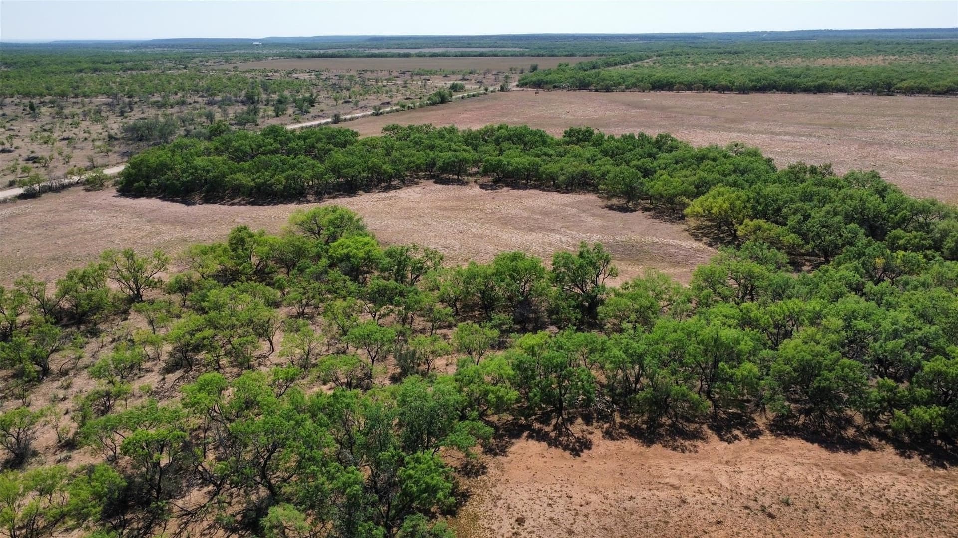 218 acres in Coleman County - photo 37