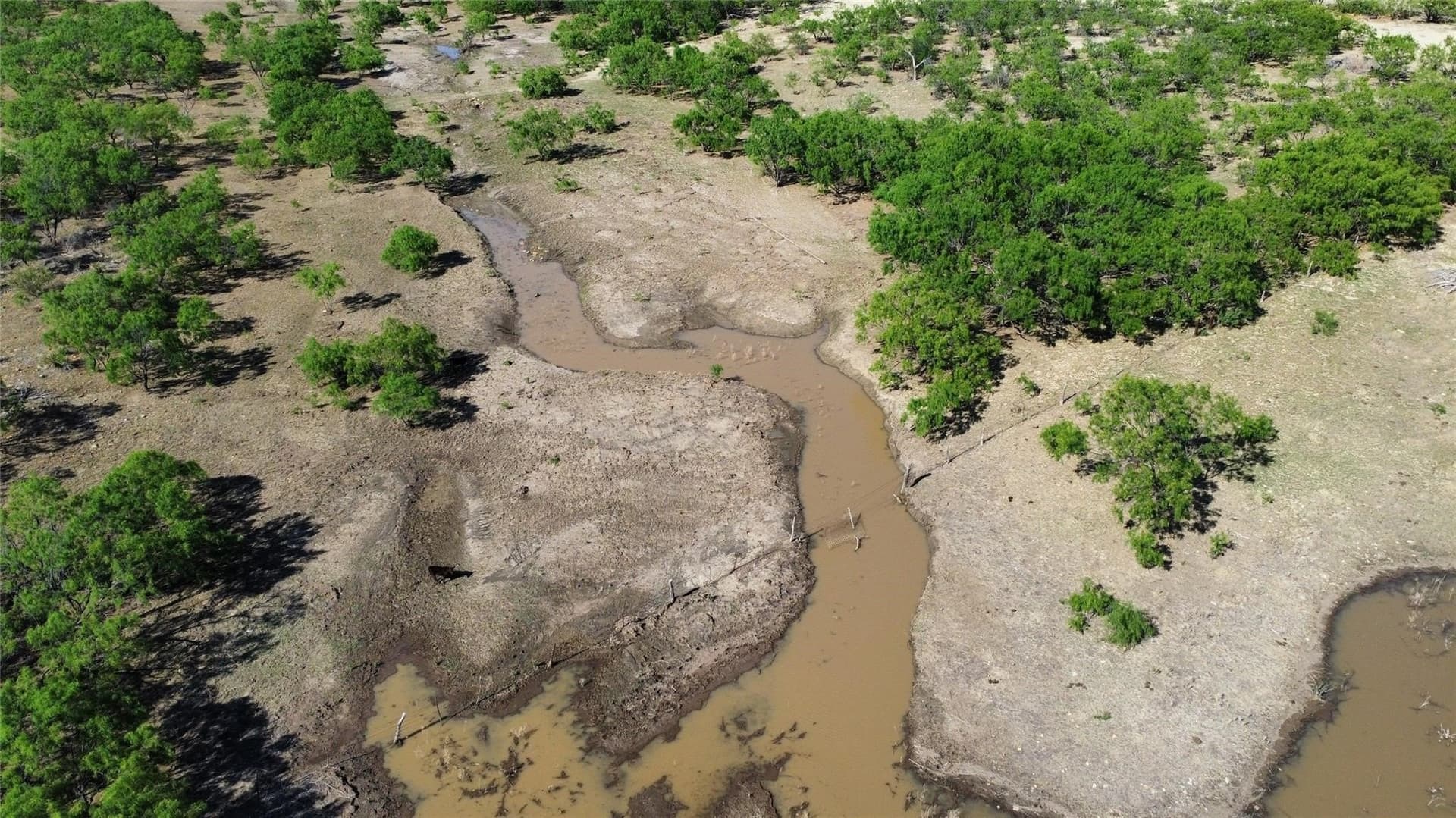218 acres in Coleman County - photo 7