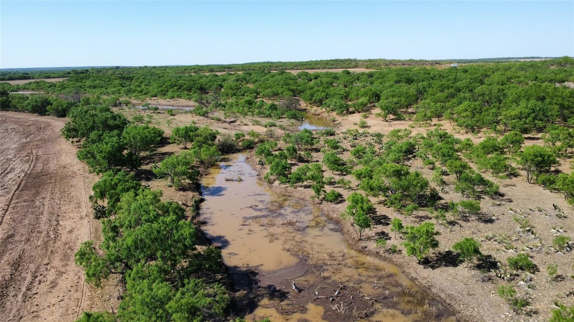218 acres in Coleman County - photo 11