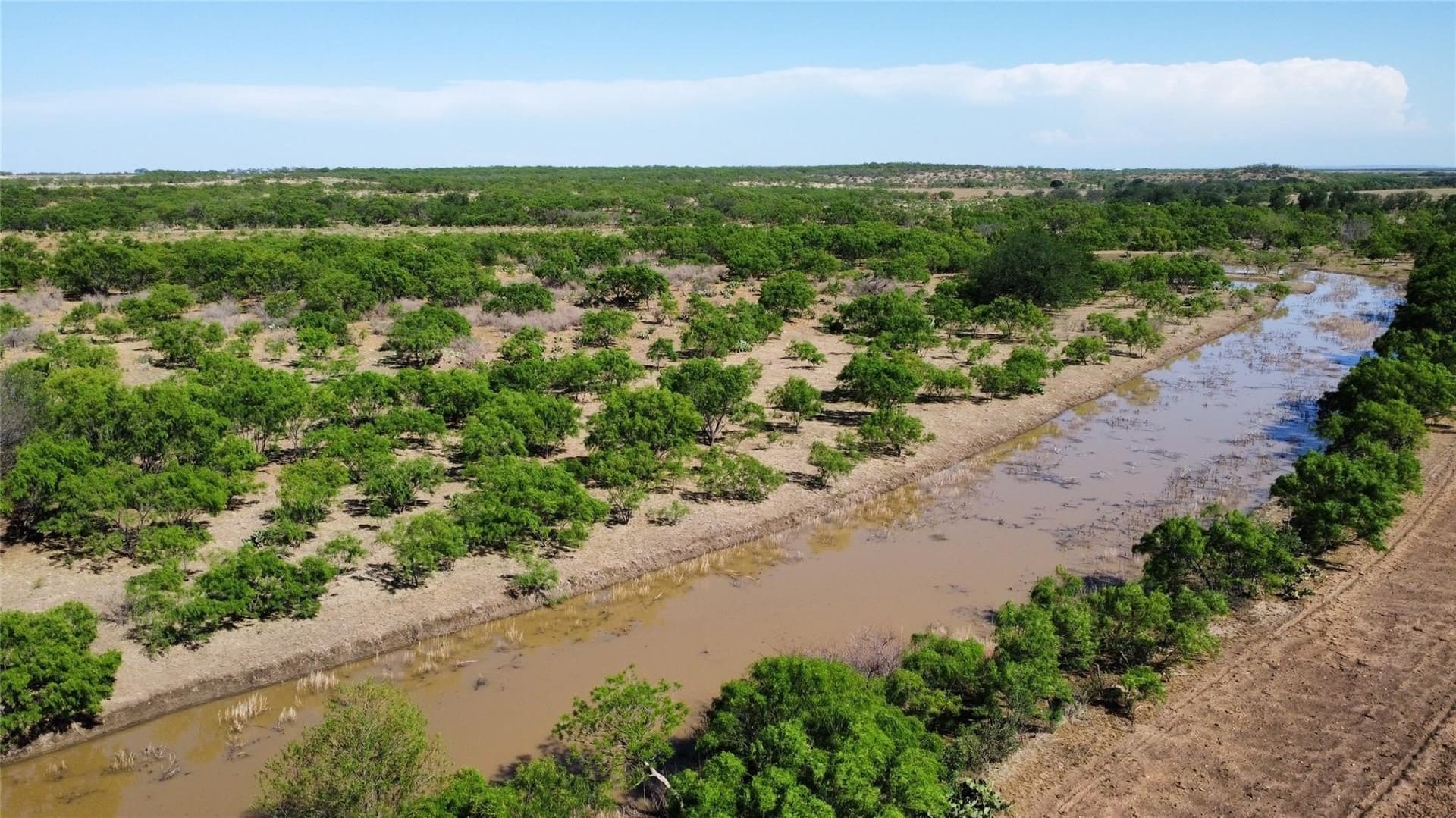 218 acres in Coleman County - photo 19