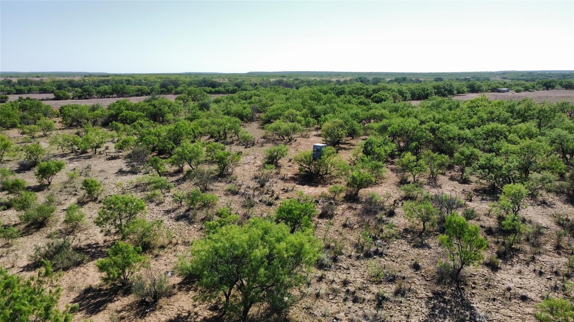 218 acres in Coleman County - photo 21