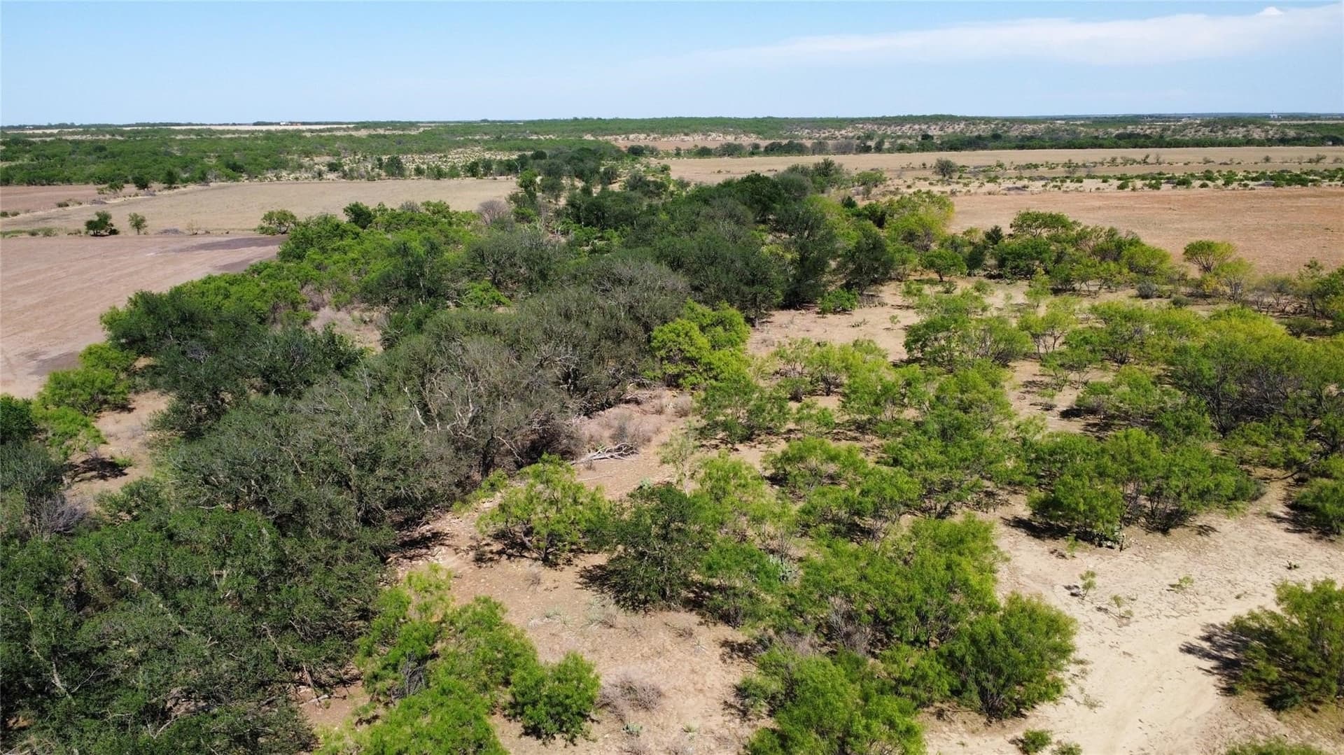 218 acres in Coleman County - photo 29