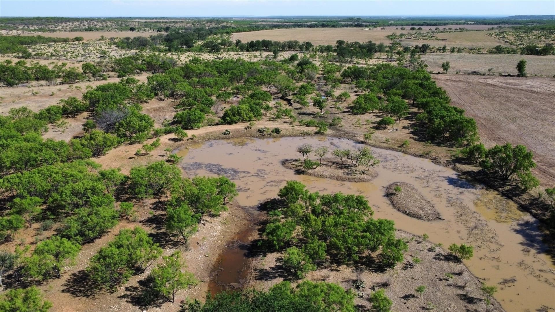 218 acres in Coleman County - photo 8
