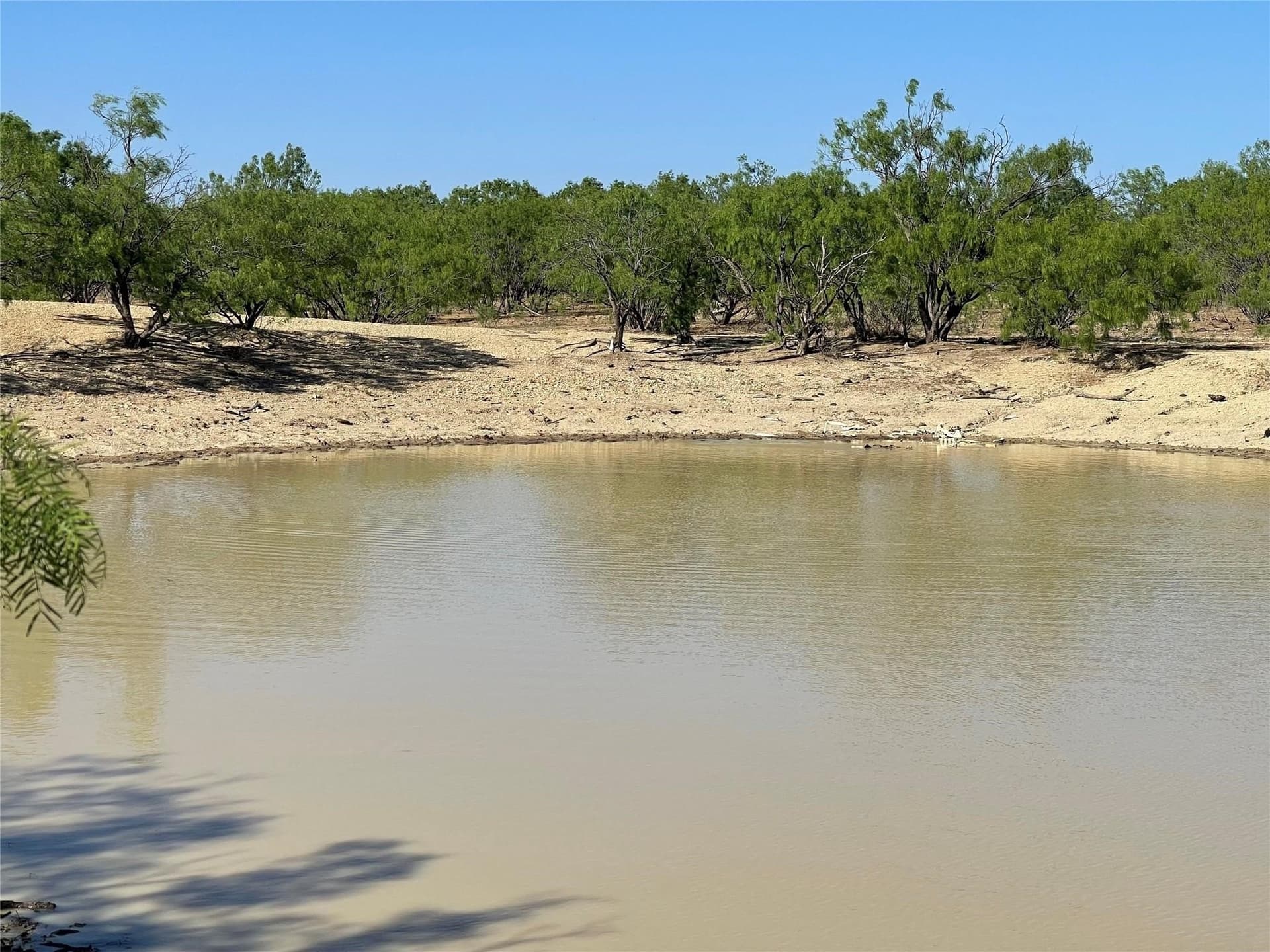 218 acres in Coleman County - photo 22