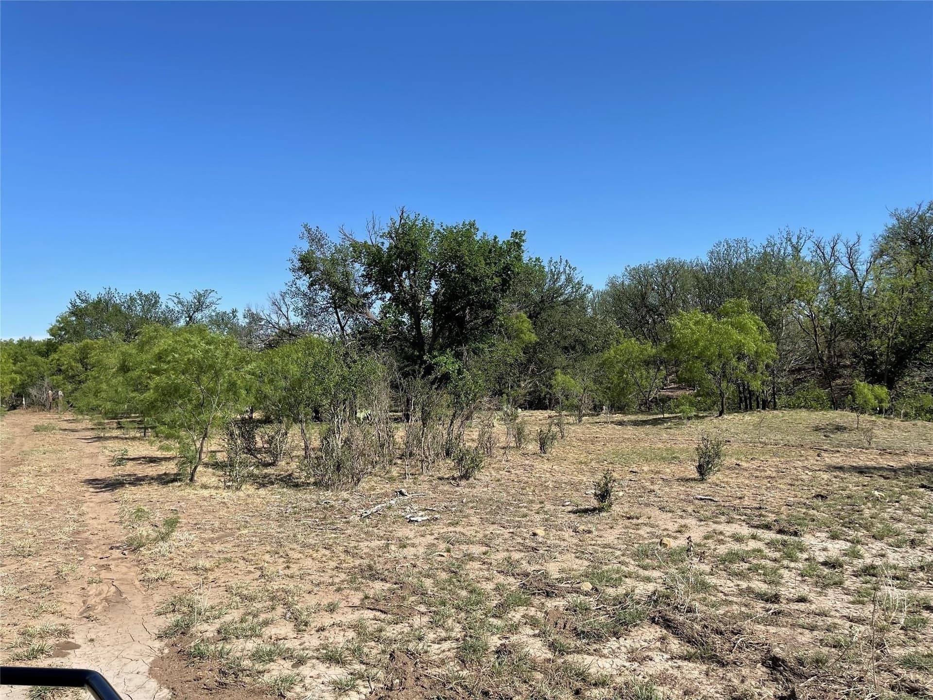 218 acres in Coleman County - photo 13