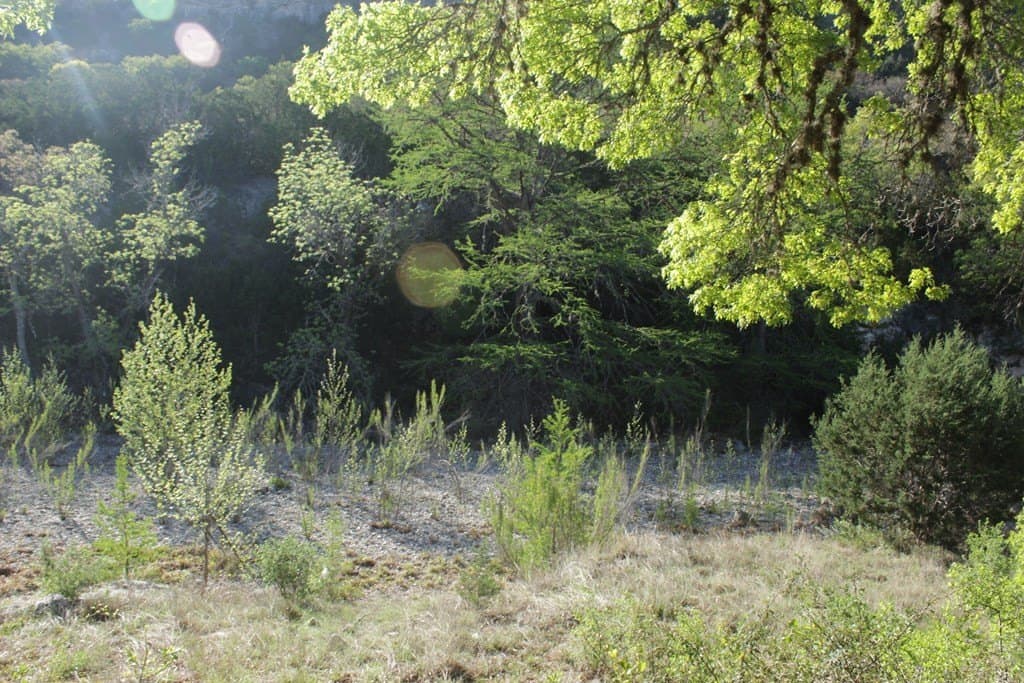 1,243.5 acres in Real County featured view