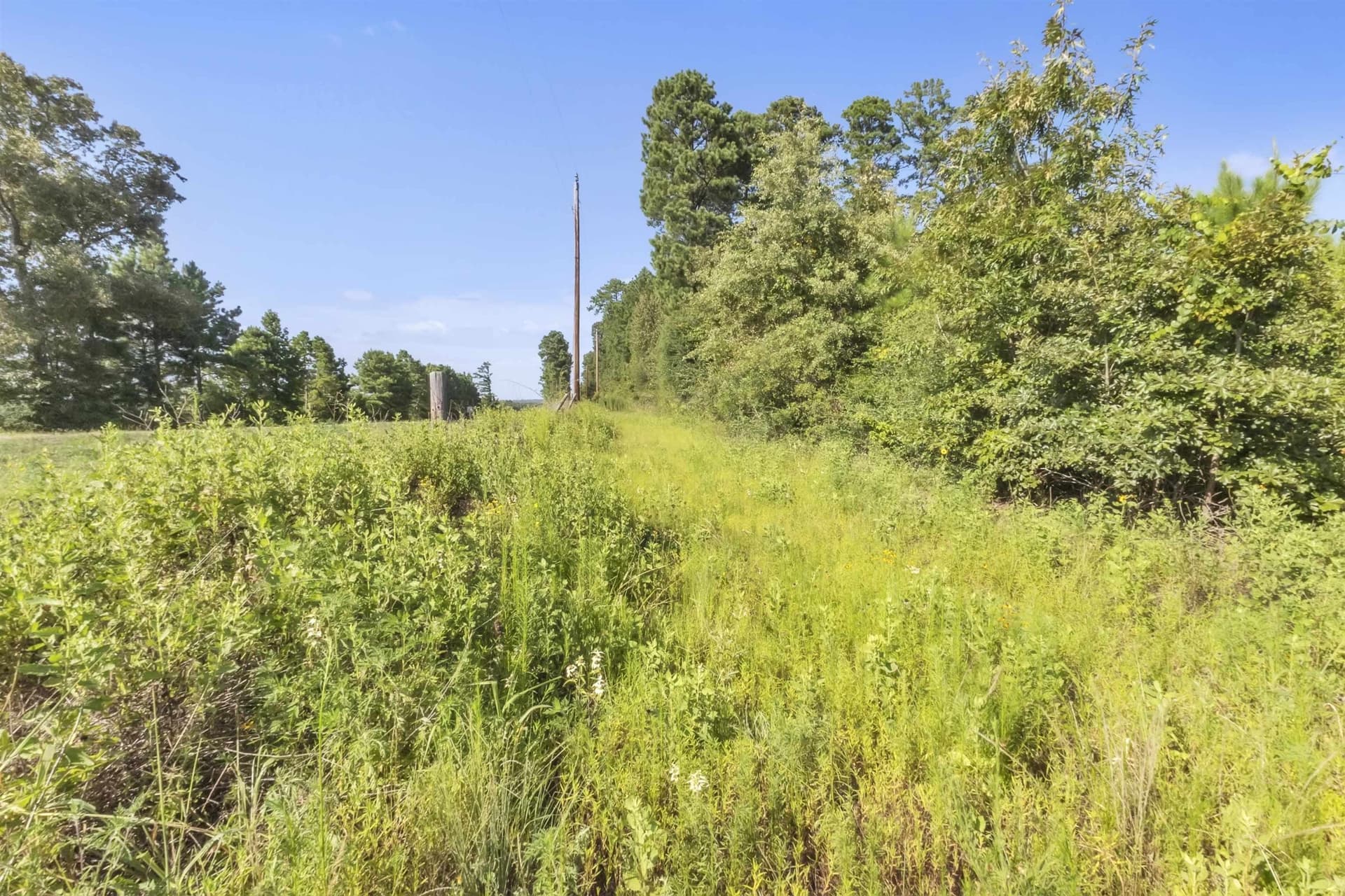 97.89 acres in Panola County - photo 11
