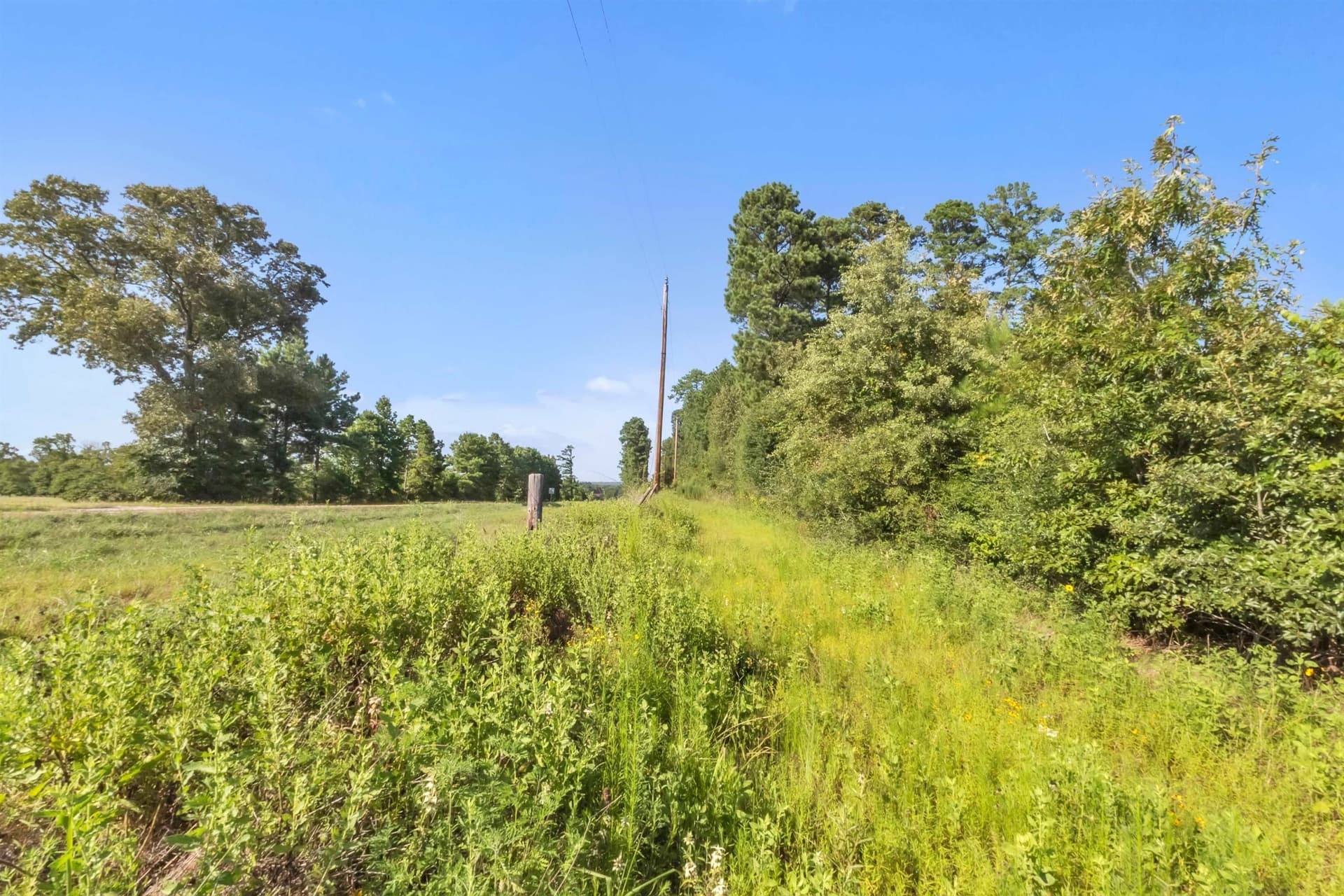 97.89 acres in Panola County gallery image 4