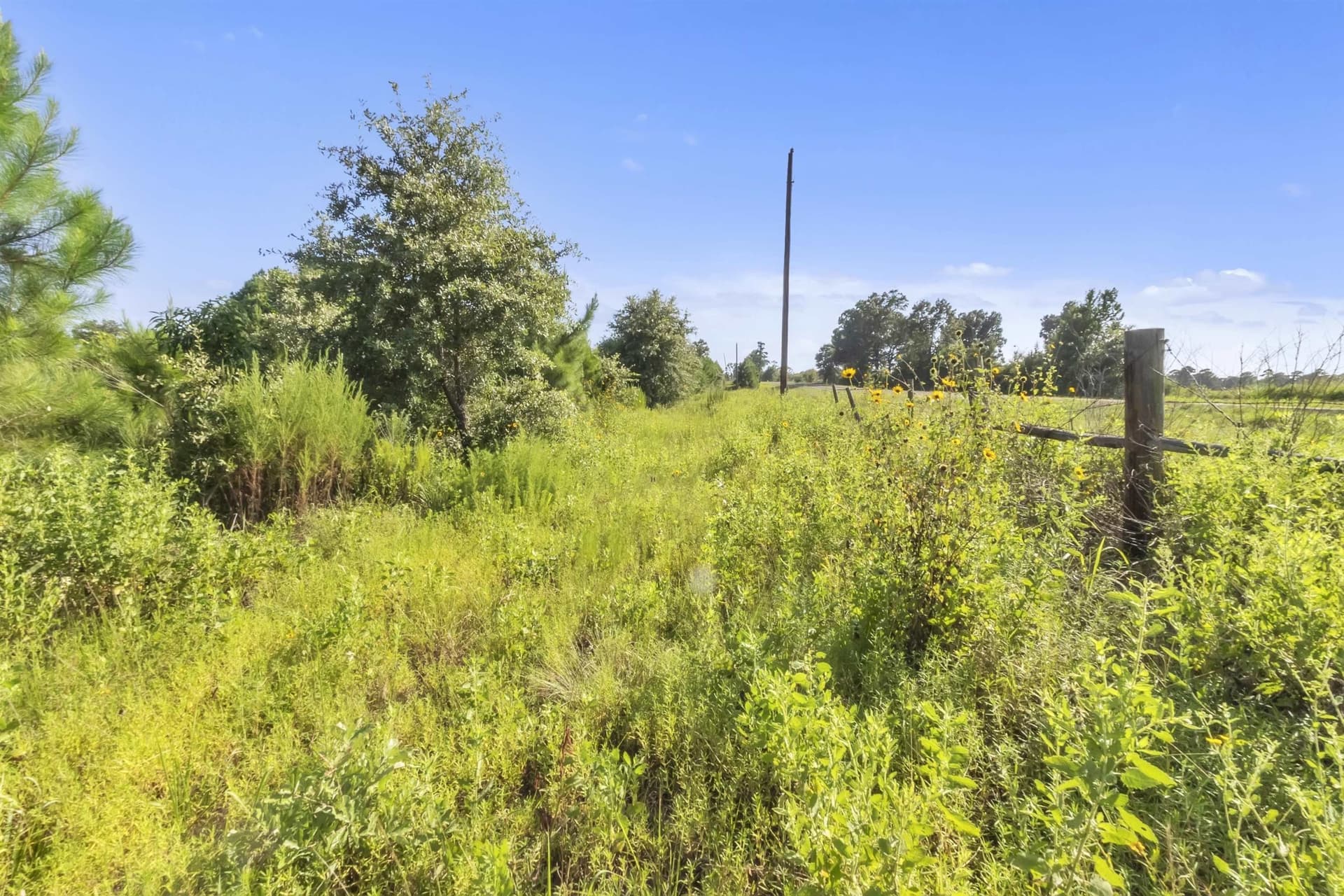 97.89 acres in Panola County - photo 9