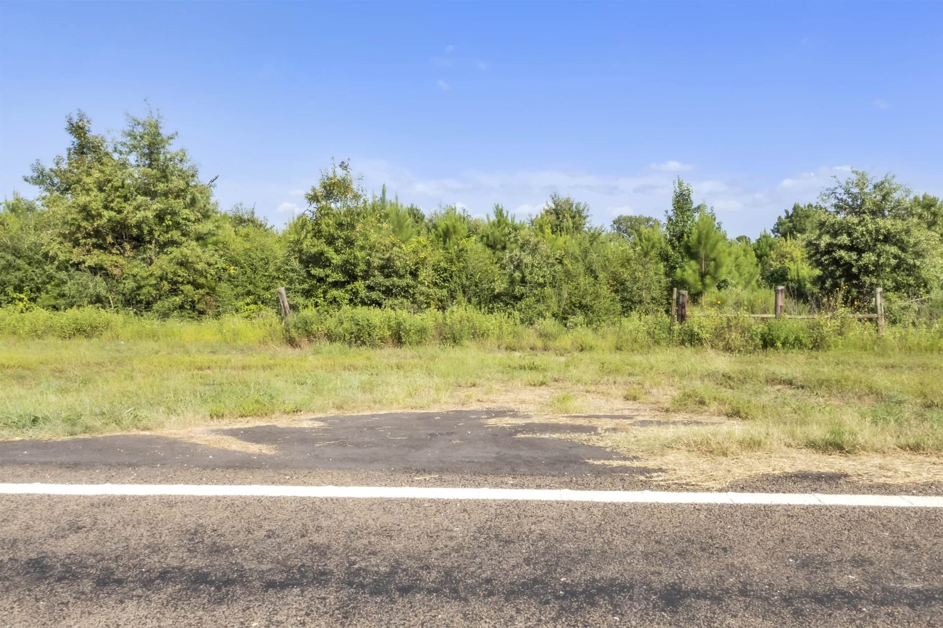 97.89 acres in Panola County - photo 10