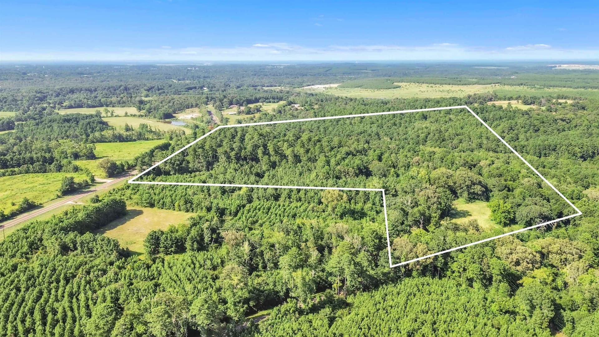97.89 acres in Panola County featured view