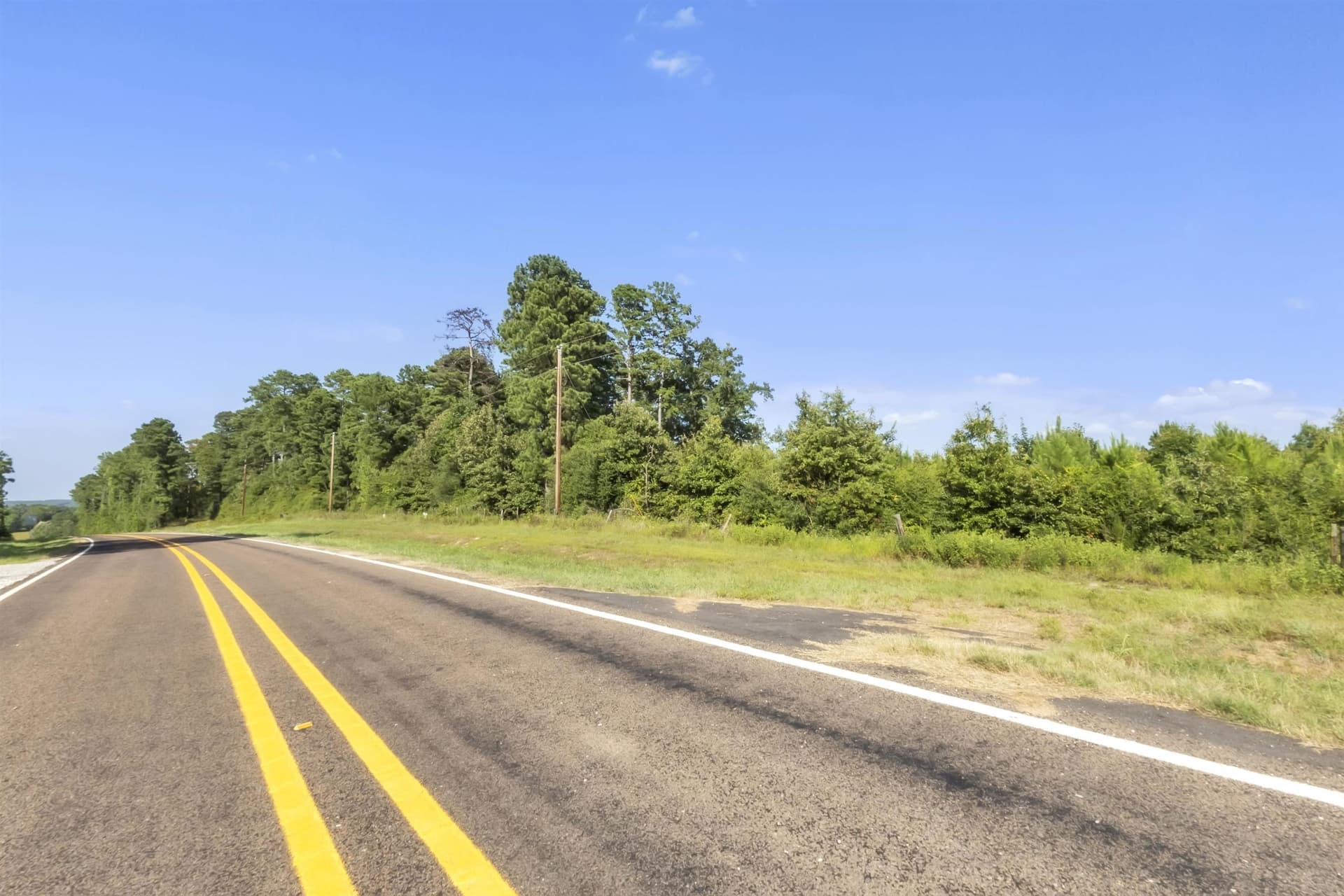 97.89 acres in Panola County - photo 6