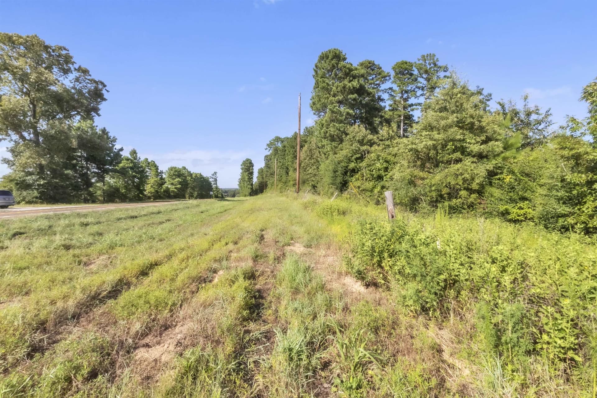 97.89 acres in Panola County - photo 8