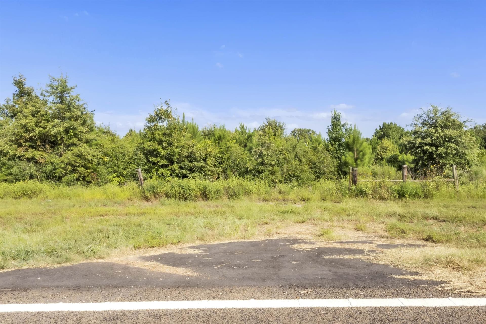 97.89 acres in Panola County - photo 7
