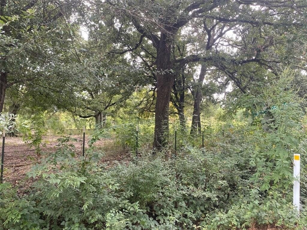 0.51 acres in Kaufman County gallery image 4