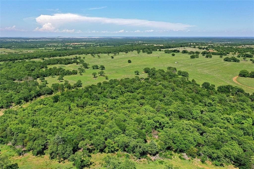 136 acres in Jack County gallery image 4