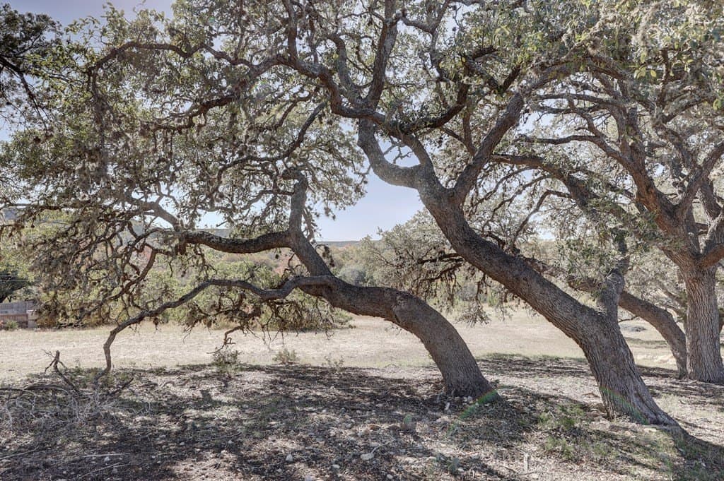 2.14 acres in Kerr County - photo 24
