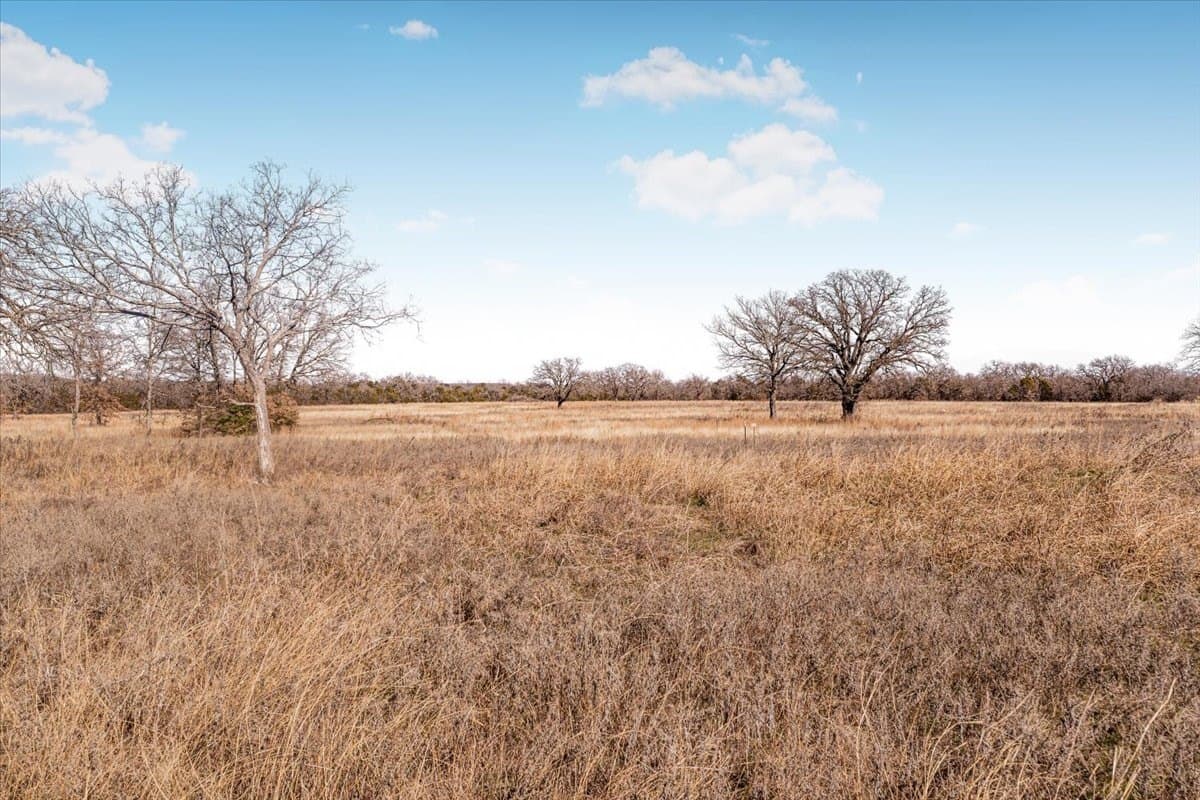 53.29 acres in Palo Pinto County - photo 6