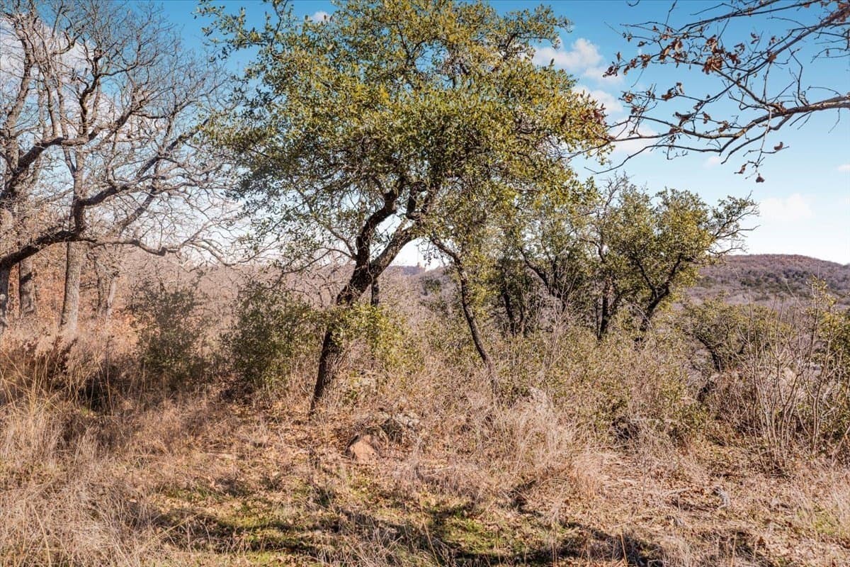 53.29 acres in Palo Pinto County - photo 7