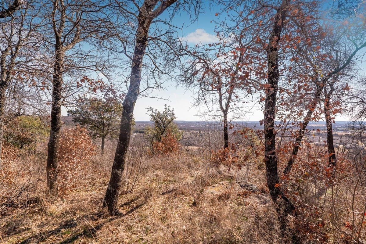 53.29 acres in Palo Pinto County gallery image 2