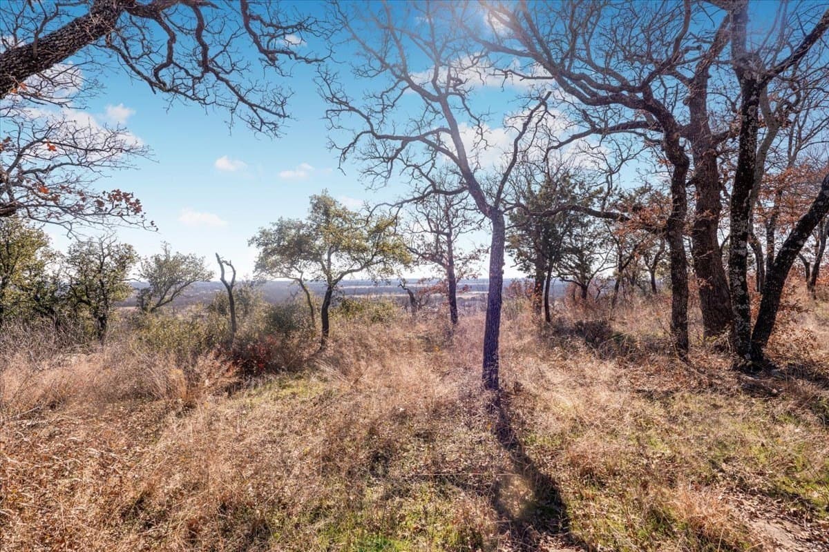 53.29 acres in Palo Pinto County gallery image 4