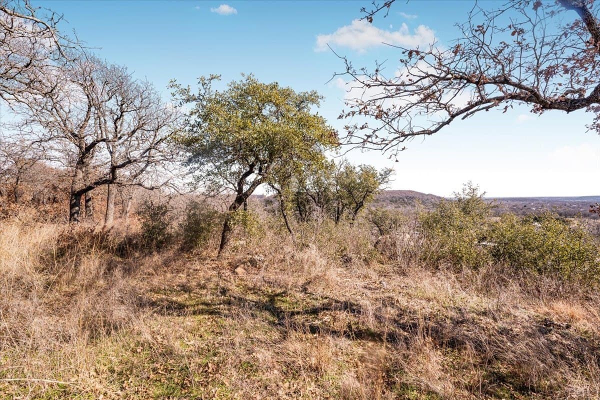53.29 acres in Palo Pinto County - photo 8