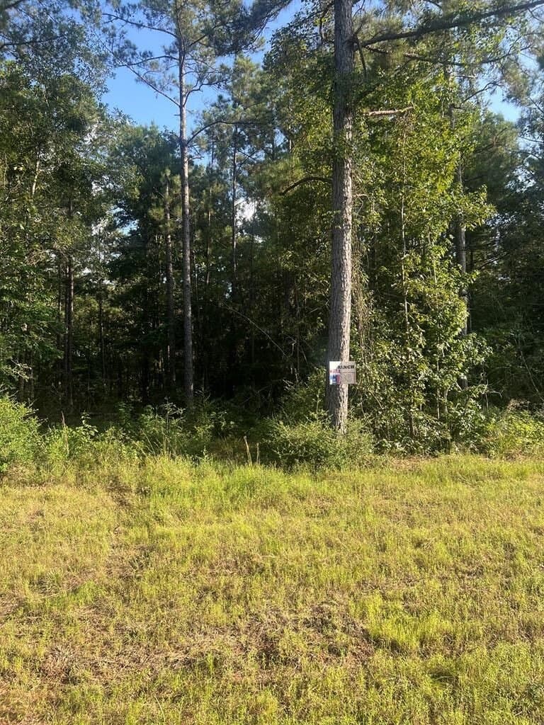 5.05 acres in Texas County - photo 8