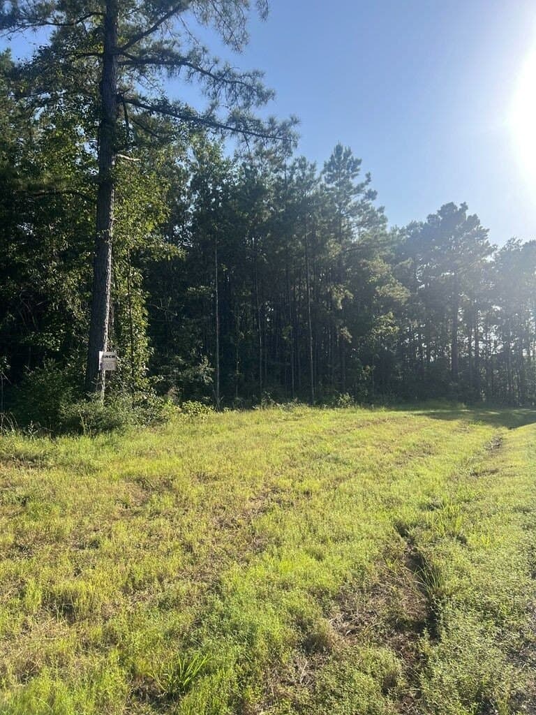 5.05 acres in Texas County - photo 3
