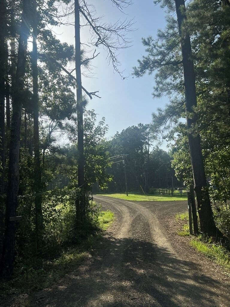 5.05 acres in Texas County - photo 6