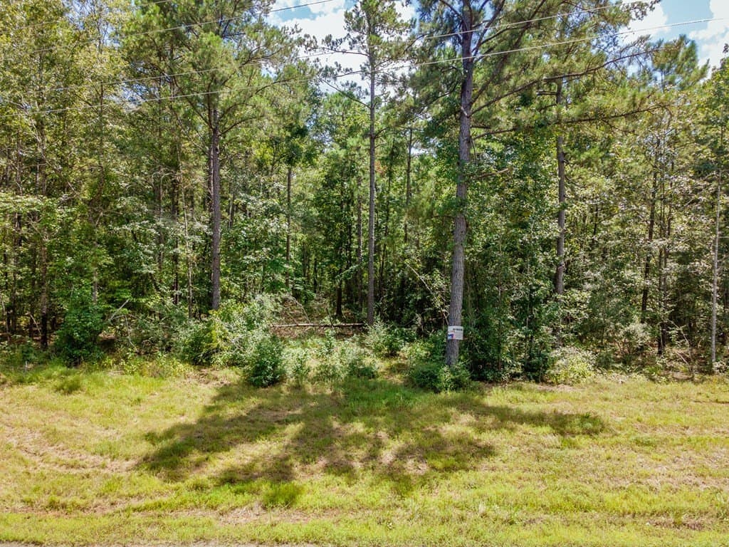5.05 acres in Texas County - photo 14