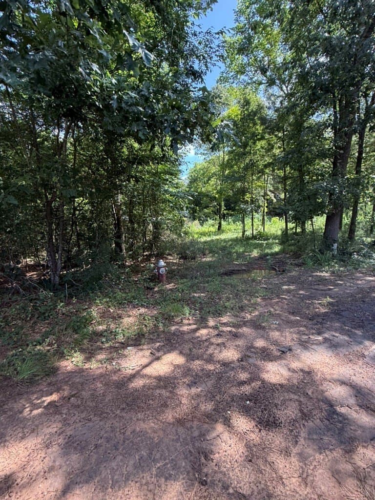 1.56 acres in Texas County featured view