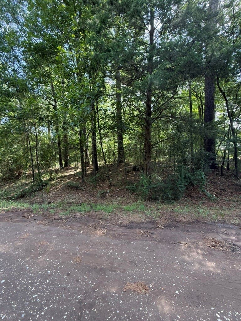 1.56 acres in Texas County gallery image 2