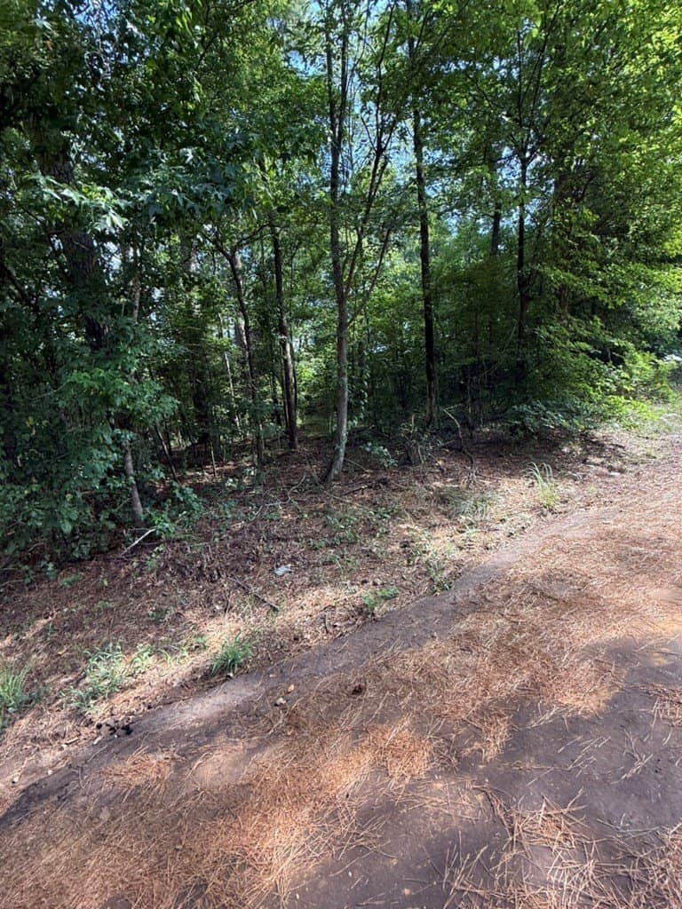 1.56 acres in Texas County gallery image 3