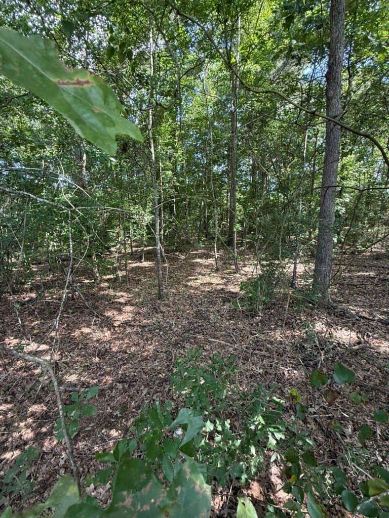 1.56 acres in Texas County gallery image 4