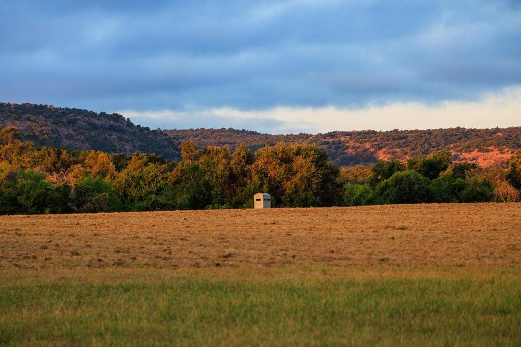 194.47 acres in Gillespie County - photo 13