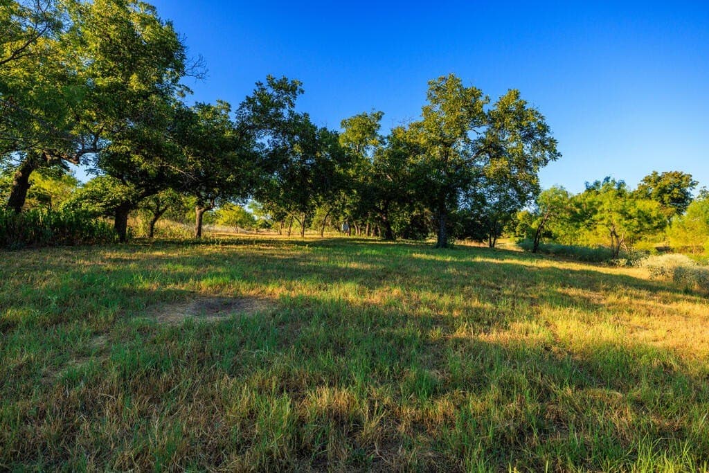 194.47 acres in Gillespie County - photo 9