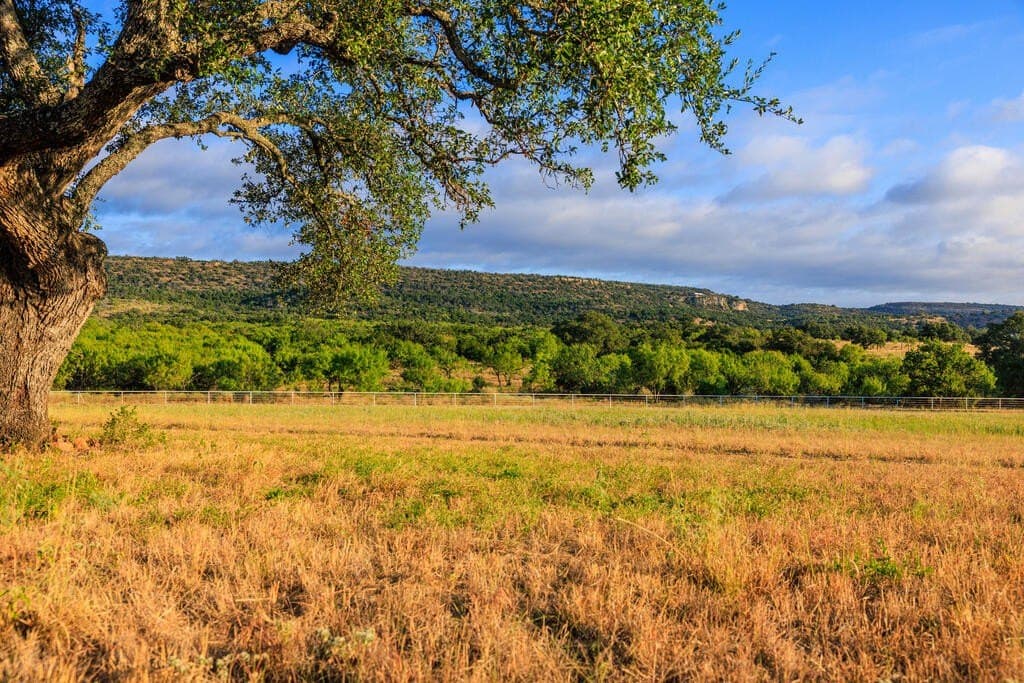 194.47 acres in Gillespie County - photo 8
