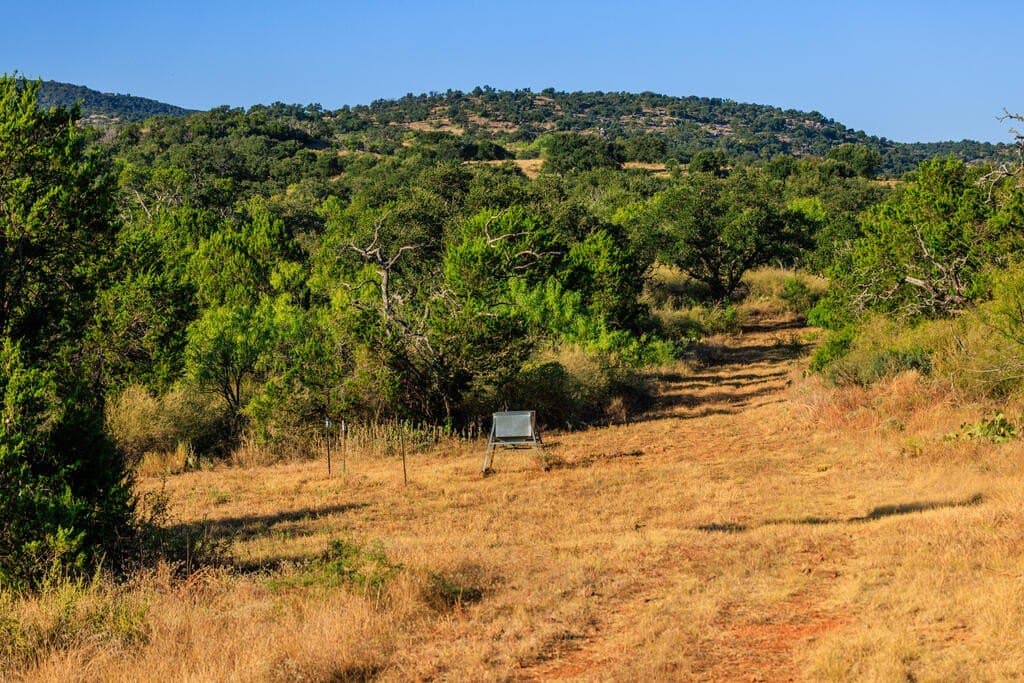 194.47 acres in Gillespie County - photo 19