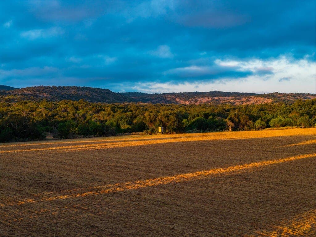 194.47 acres in Gillespie County - photo 17