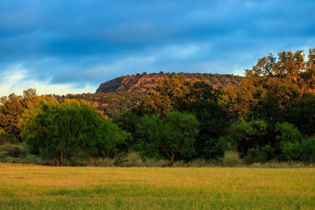 194.47 acres in Gillespie County - photo 7
