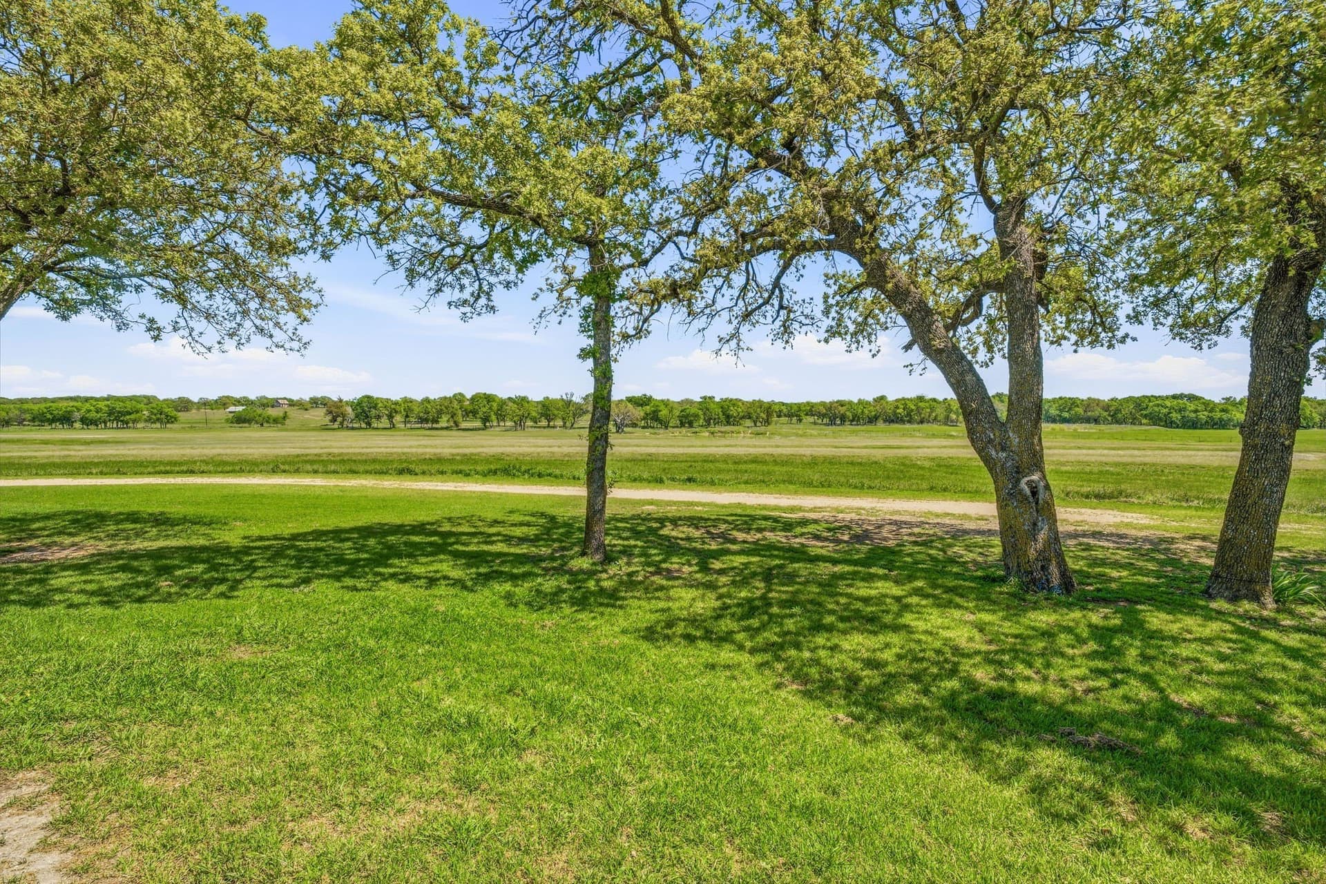 77.49 acres in Erath County - photo 38
