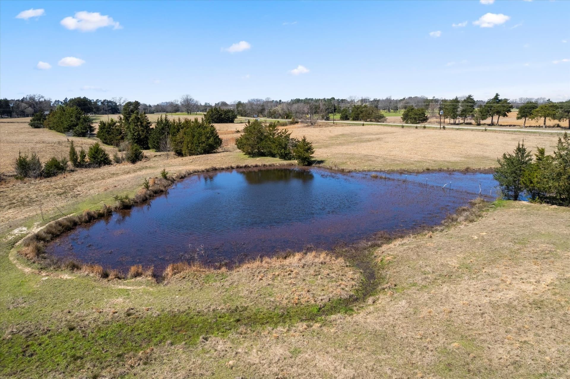 21.92 acres in Titus County - photo 7