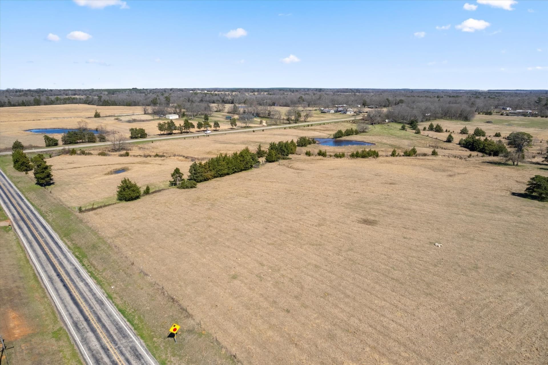 21.92 acres in Titus County - photo 12