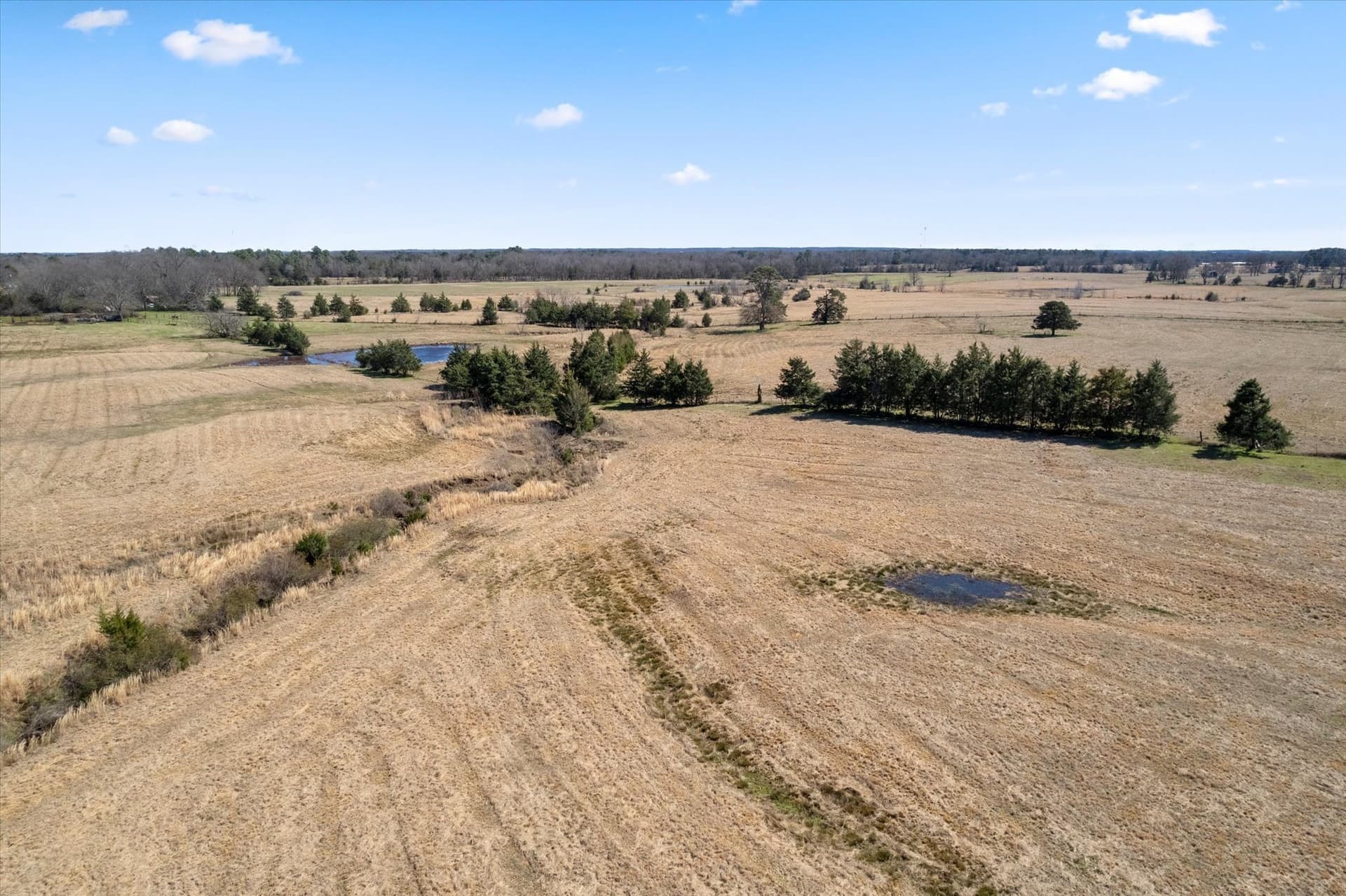 21.92 acres in Titus County - photo 14